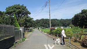 �N���b�N���Ċg��