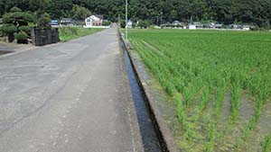 �N���b�N���Ċg��