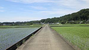 �N���b�N���Ċg��