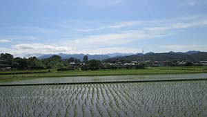 �N���b�N���Ċg��