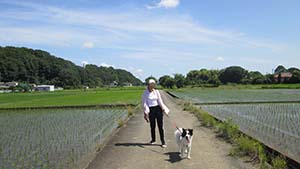 �N���b�N���Ċg��