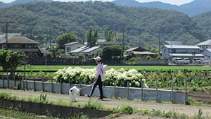 �N���b�N���Ċg��