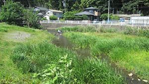 �N���b�N���Ċg��