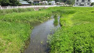 �N���b�N���Ċg��