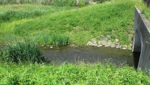 �N���b�N���Ċg��