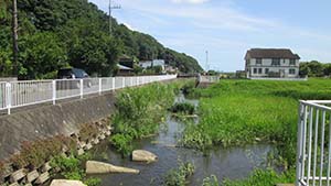 �N���b�N���Ċg��