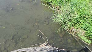 �N���b�N���Ċg��