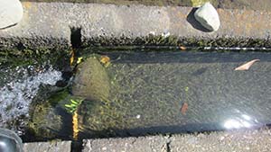 �N���b�N���Ċg��