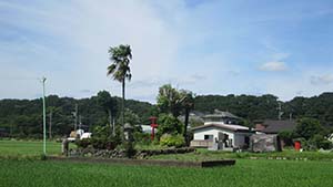 �N���b�N���Ċg��