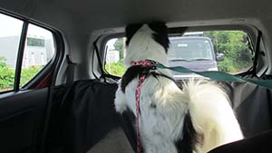 �N���b�N���Ċg��