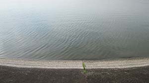 �N���b�N���Ċg��