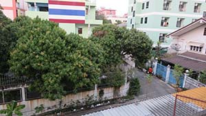 NbNĊg