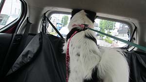 �N���b�N���Ċg��