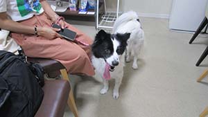 �N���b�N���Ċg��