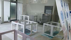 �N���b�N���Ċg��