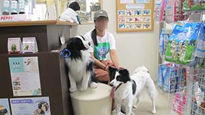 �N���b�N���Ċg��