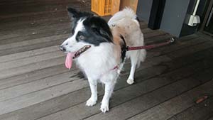 �N���b�N���Ċg��