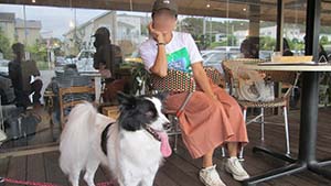 �N���b�N���Ċg��