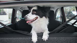 �N���b�N���Ċg��