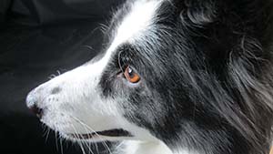 �N���b�N���Ċg��