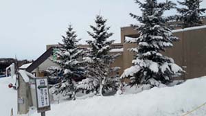 NbNĊg