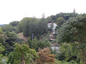 NbNĊg