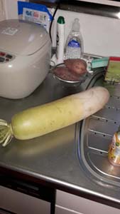NbNĊg