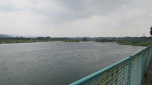 NbNĊg