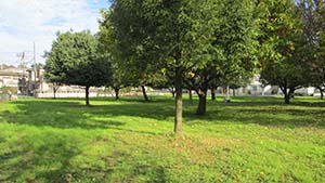 NbNĊg
