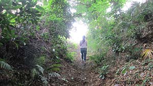 �N���b�N���Ċg��