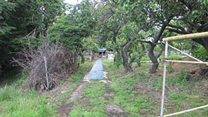 �N���b�N���Ċg��