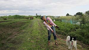 �N���b�N���Ċg��