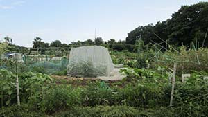 �N���b�N���Ċg��