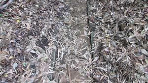 �N���b�N���Ċg��