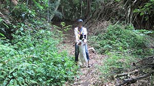 �N���b�N���Ċg��