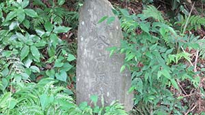 �N���b�N���Ċg��