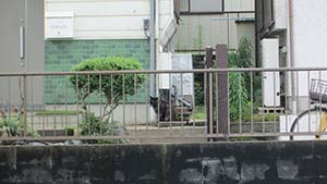 �N���b�N���Ċg��