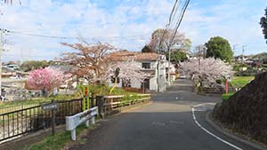 �N���b�N���Ċg��