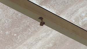 �N���b�N���Ċg��