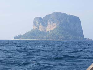 NbNĊg