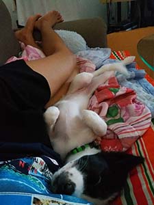 NbNĊg