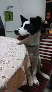 NbNĊg