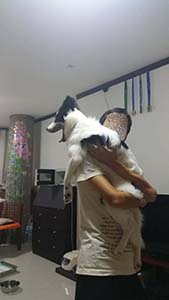 NbNĊg
