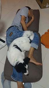 NbNĊg