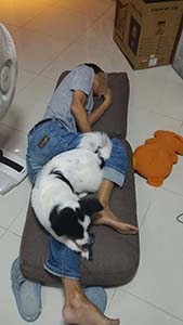NbNĊg