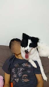 NbNĊg