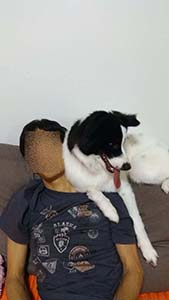NbNĊg