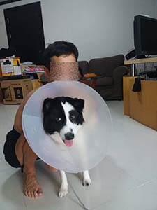 NbNĊg