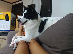NbNĊg