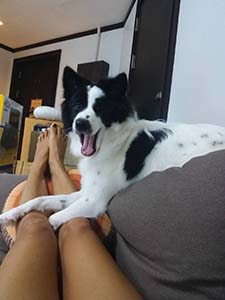 NbNĊg